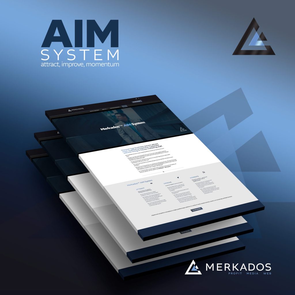 Website Design - AIM System