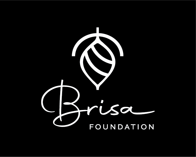 The Brisa Foundation